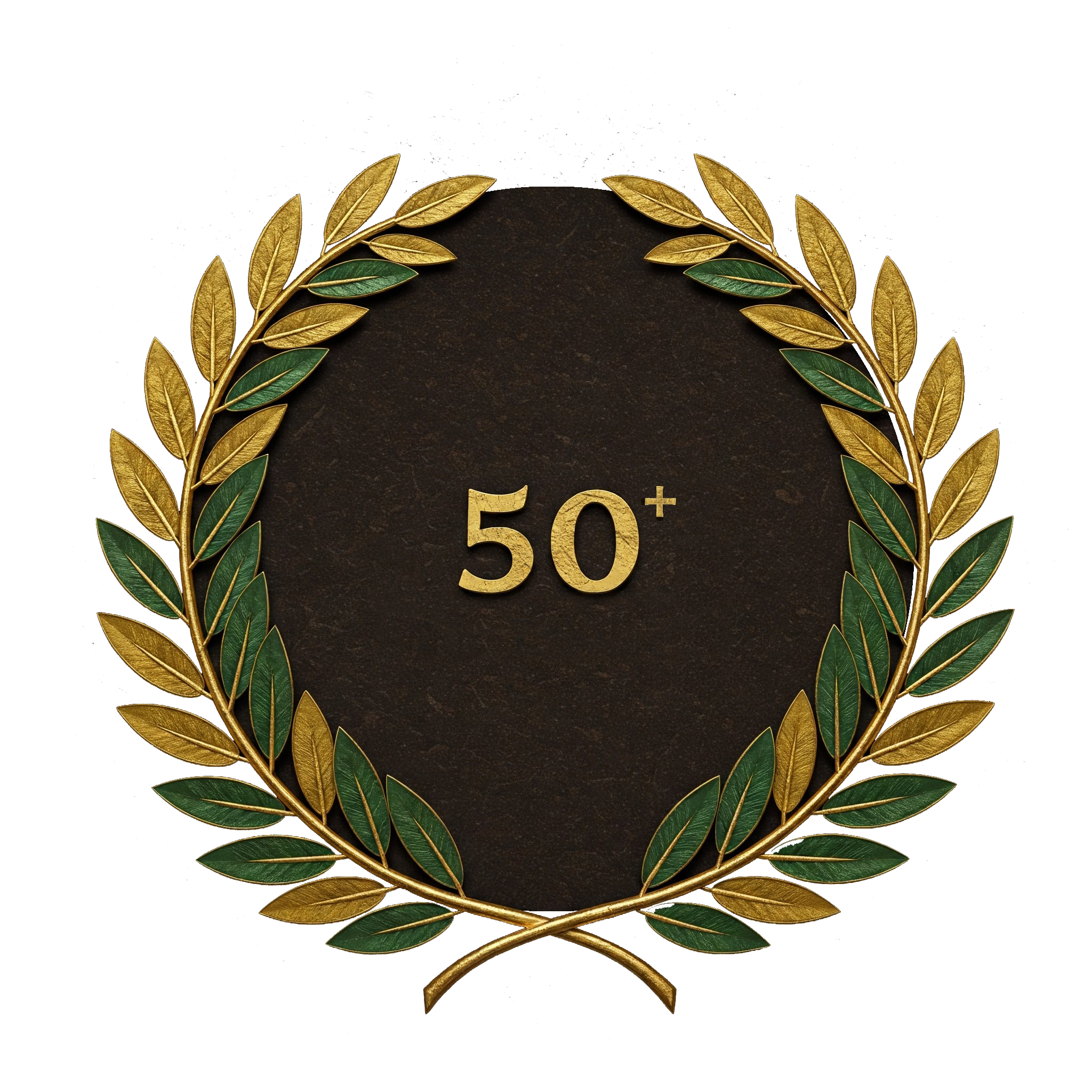 50+ Judicial Candidate Wins